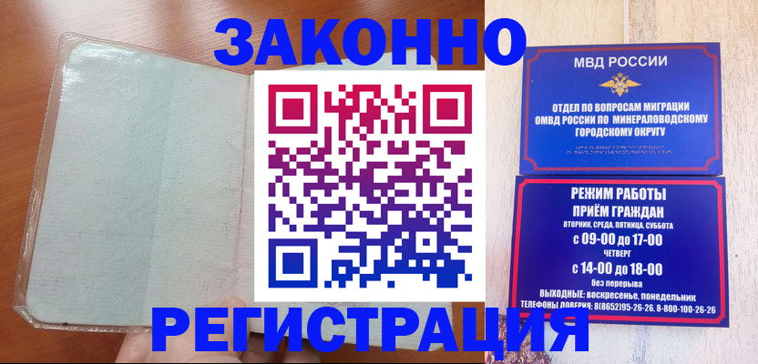 прописка гарантия в Светлогорске